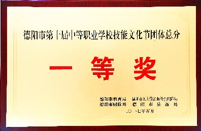 17年市級(jí)（含）以上獲獎(jiǎng)證書